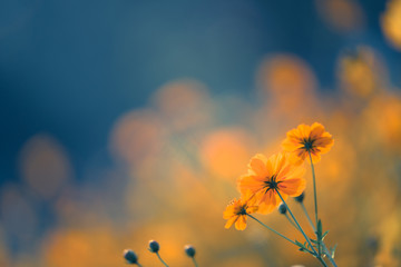 民警执法不规范整改措施